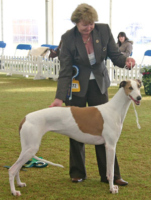 Hound Group 4th