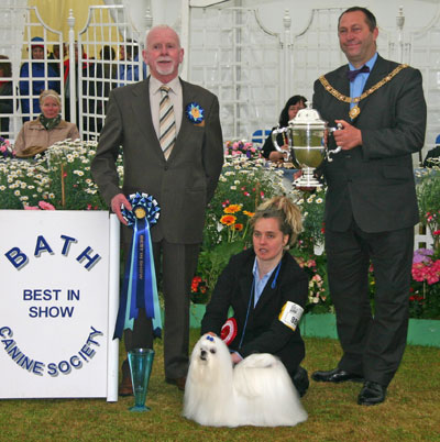 Best in Show