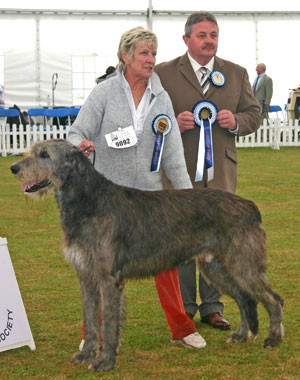 Hound Group 2nd