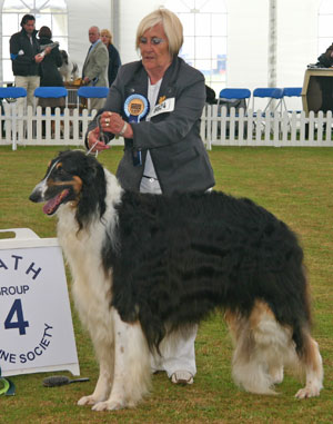 Hound Group 4th