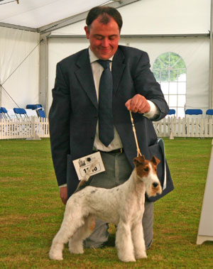 Terrier Group 2nd