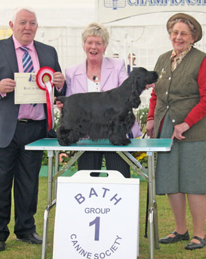 Gundog Group 1st