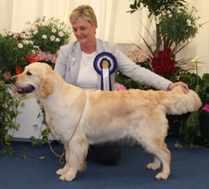 Gundog Group 2nd
