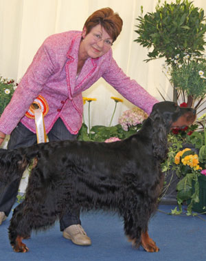 Gundog Group 3rd