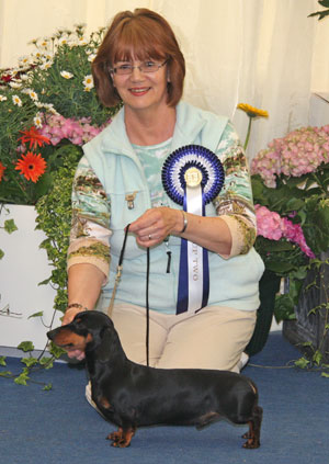 Hound Group 2nd