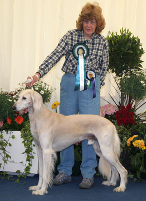Hound Group 4th