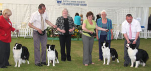 Pastoral Breeder group