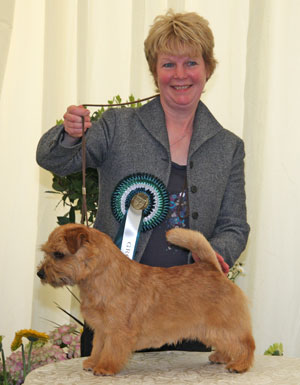 Terrier Group 4th