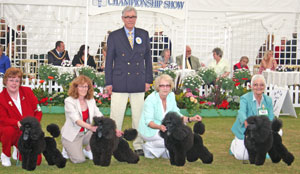 Utility Breeder group