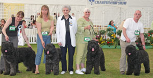 Working Breeder Group