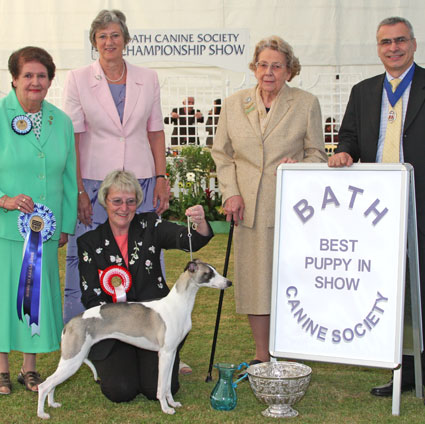 Best puppy in show