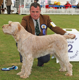 Gundog group 2nd