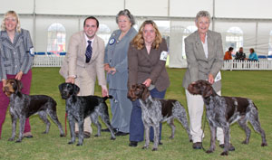 Gundog breeder group