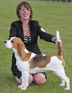 Hound group 2nd