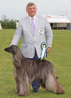 Hound group 4th