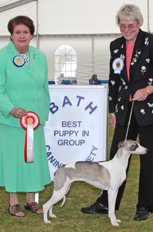 Hound puppy group 1st