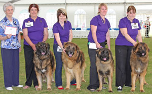 Pastoral breeder group