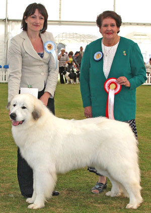 Pastoral best puppy