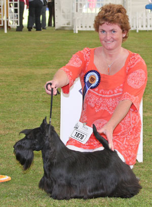 Terrier group 3rd