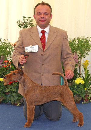 Gundog group 4th