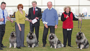 Utility breeder group