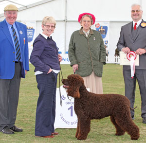 Gundog group 1st