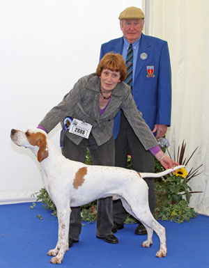 Gundog group 2nd