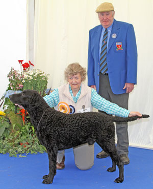 Gundog group 3rd