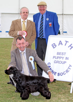 Gundog Best Puppy