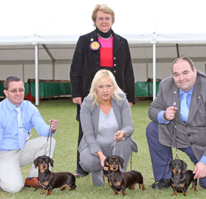 Hound Best Breeder