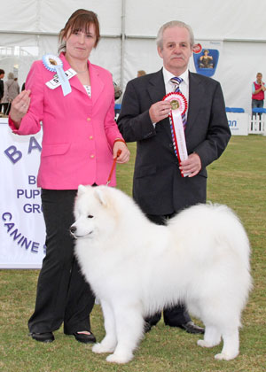 Pastoral Best Puppy