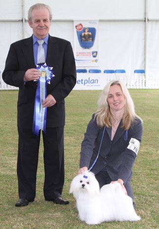 Reserve Best Puppy in Show