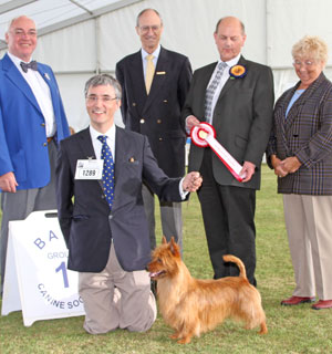 Terrier group 1st