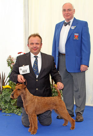 Terrier group 3rd