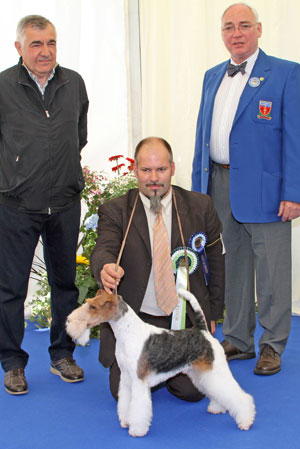 Terrier group 4th