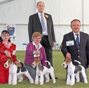 Terrier Breeder group