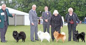 Utility Best Breeder