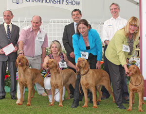 Gundog breeder group