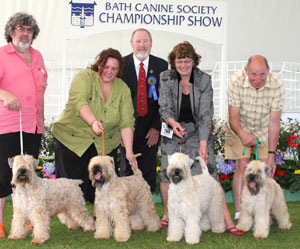 Terrier breeder group