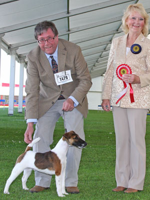 Terrier best puppy