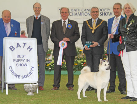 Mr & Mrs A Dobson & Mrs S Cale & Mrs N Evans Arnscroft Di To Be A Sailor with BPIS judge Mr V Salt, Mr S Magness (Assistant Chief Steward) & Mr G Jackson-Haines (Assistant Secretary)