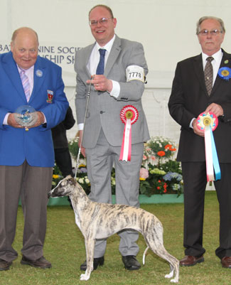 Mr D G & Mrs Y L Short Collooney Whoopee Do Dora with BPIS jdge Mr V Salt & Mr S Magness (Assistant Chief Steward)