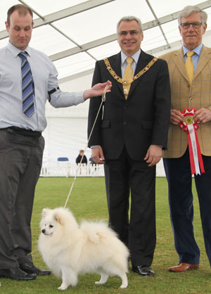 Mr G Pearce & Mr D Francis Ch Longsdale's Willie Win with group judge Mr K S Wilberg