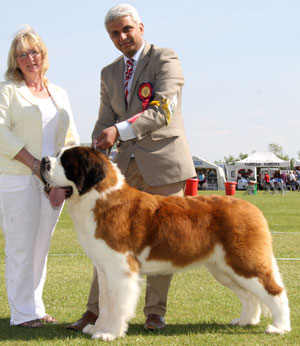 Miss A Grainger & Mr T Nagrecha Ch Chandlimore Sparks Will Fly Over Samhaven