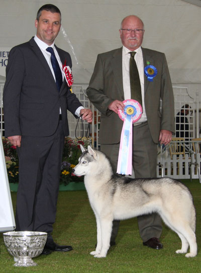 Mrs E & Mr K Whitehead Jacalous Simply Magic with BPIS judge Mr G C Duffield