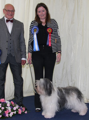 Miss L Mottram Ch Mybeards Wish with group judge Mr B M Croft