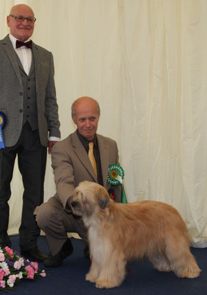 Mrs P Phillips Friponne Du Pic D'espade Kelltara (Imp) with group judge Mr B M Croft