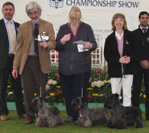 Fewings - Cesky Terrier with group judge Mr J Horswell