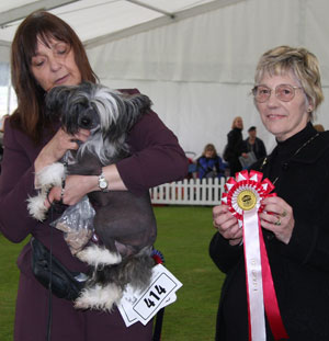 Mrs T Dixon Ch Debrita Diaz JW Sh.CM with group judge Mrs D A Horan 