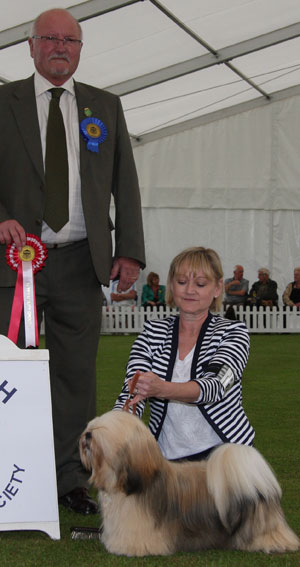 Mrs T Lightfoot & Mr D & Mrs J Lock Telshotbriar Leonardo With Littondale with puppy group judge Mr G C Duffield